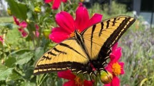 649618cc9e39c787627886