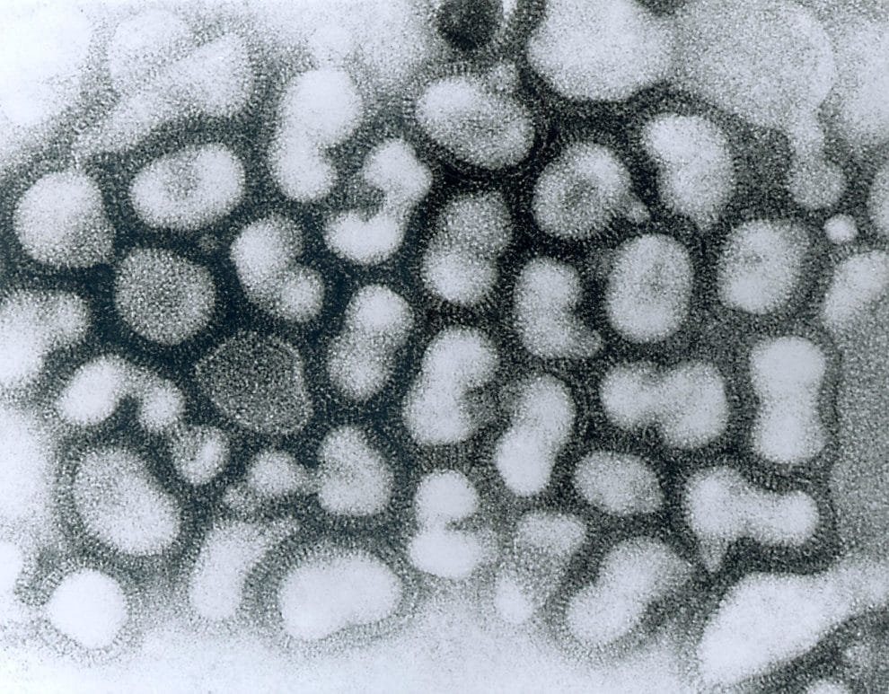 Influenza A late passage