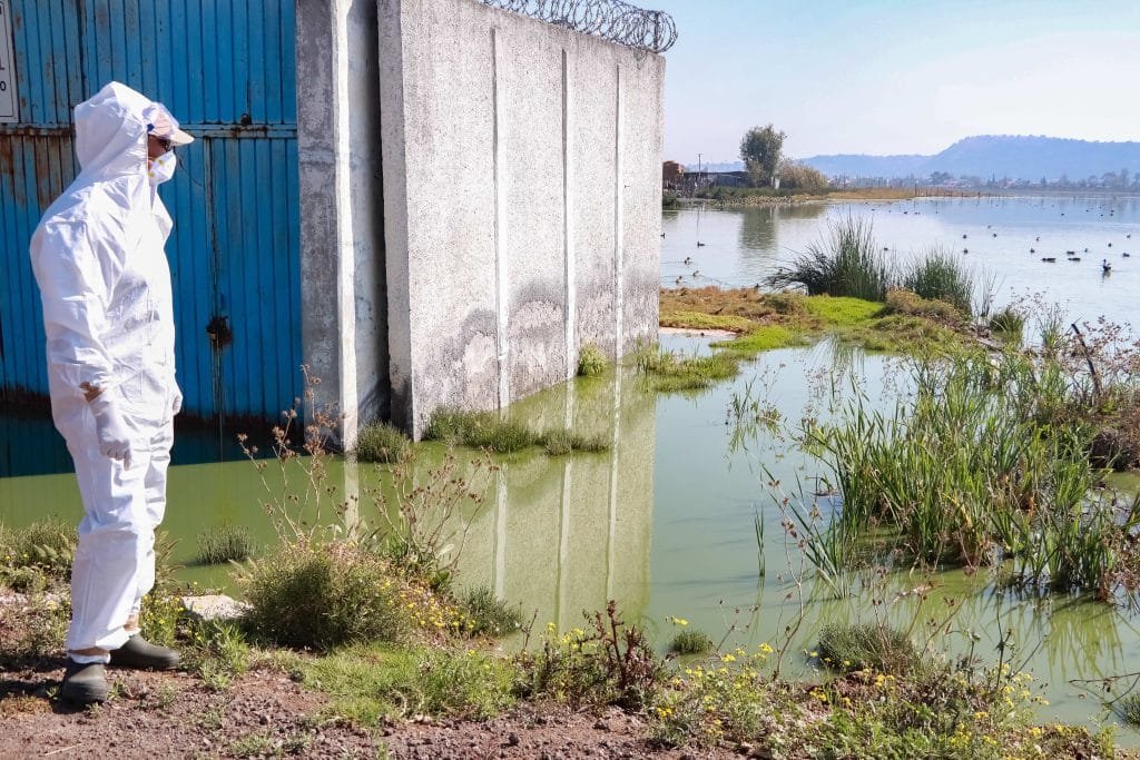 Operativo para atender alerta por mortandad de aves en el Pacifico mexicano 2