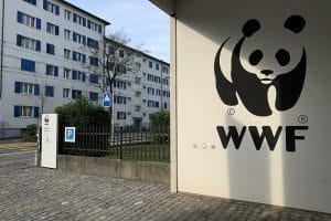 WWF Schweiz Zurich Office Ank Kumar Infosys Limited 01