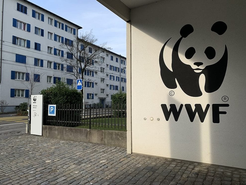 WWF Schweiz Zurich Office Ank Kumar Infosys Limited 01