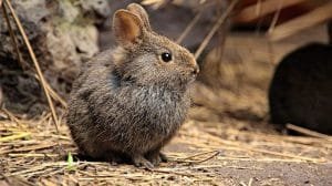 WhatsApp Image 2023 06 22 at 12.38.37