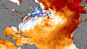 WhatsApp Image 2023 06 26 at 16.26.52