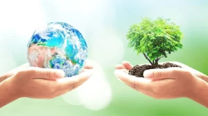 apaisada dia.mundial medioa ambiente scaled.jpg