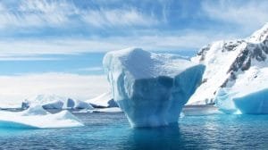 artico pexels pixabay