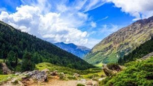 ecosistema terrestre2 e1538411437472