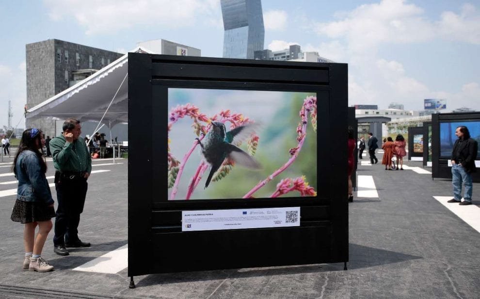 galeria fotografica puebla natural diversa