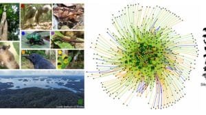 hidroelectricas biodiversidad 2 995x495 1