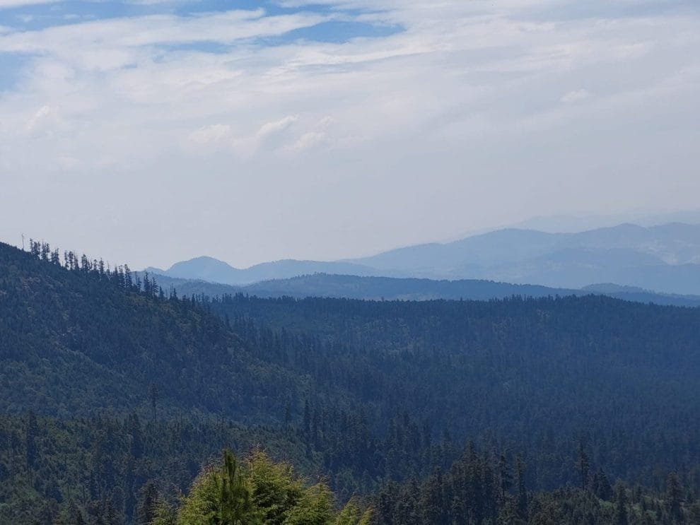 Realizan acciones de conservación en El Desierto de los Leones 11 649ca64e43f58259585989