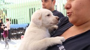 64b721d9ca436296796221