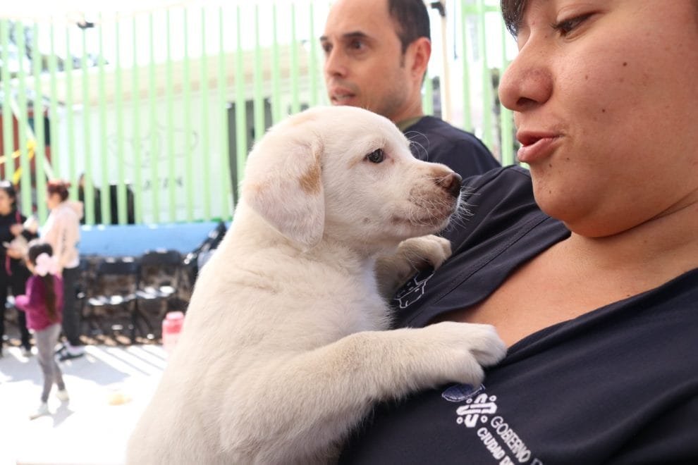 64b721d9ca436296796221