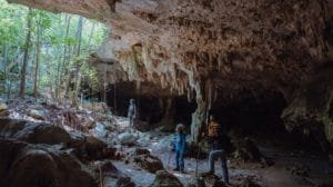 Garra de jaguar Tren Maya 1024x529 1