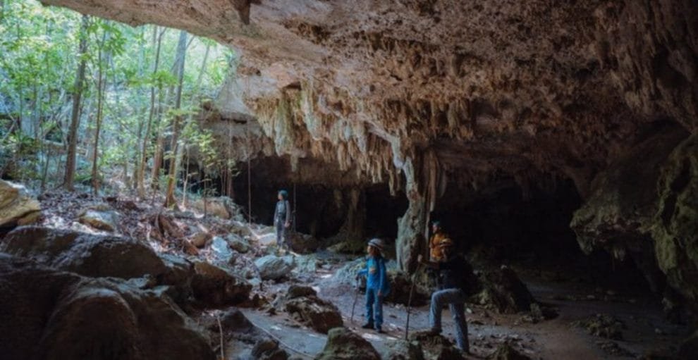 Garra de jaguar Tren Maya 1024x529 1
