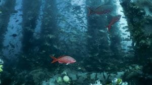 WhatsApp Image 2023 07 05 at 16.03.10