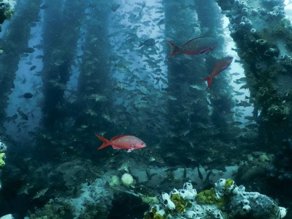 WhatsApp Image 2023 07 05 at 16.03.10