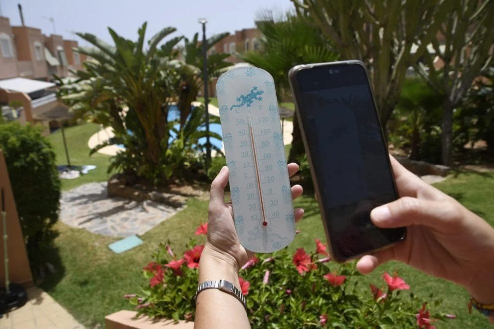 WhatsApp Image 2023 07 14 at 11.09.25