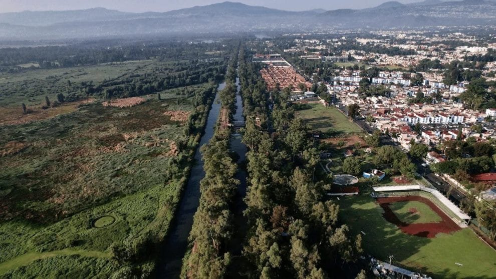 Congreso de la CDMX propone medidas para salvaguardar el arbolado urbano 10 WhatsApp Image 2023 07 14 at 12.51.43