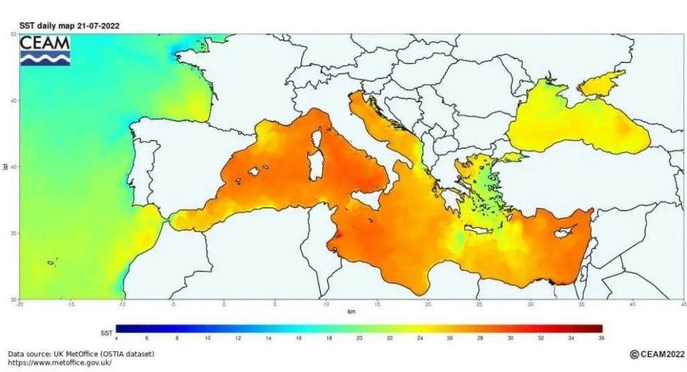 WhatsApp Image 2023 07 26 at 11.19.17