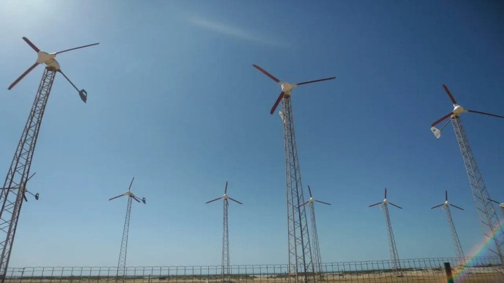 WhatsApp Image 2023 07 26 at 11.34.28