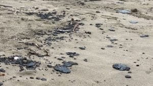 WhatsApp Image 2023 07 26 at 16.28.06