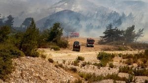 WhatsApp Image 2023 07 27 at 12.08.26