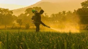 plaguicida prohibido 996x567 1