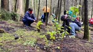 thumb 27097 640 360 0 0 crop