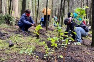 thumb 27097 640 360 0 0 crop