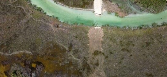 Ejército daña Estero de Chac durante obras del Tren Maya 11 tren maya