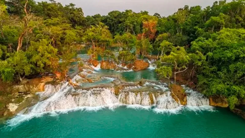 Wanha en Tabasco se transforma en la próxima Reserva de la Biosfera Federal 10 0 grande jpg