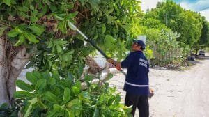 IMG 20230819 WA0019 1024x769 1