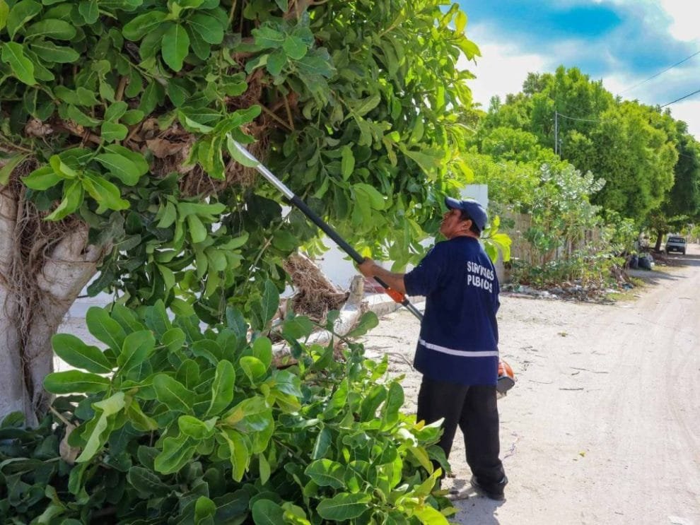 IMG 20230819 WA0019 1024x769 1