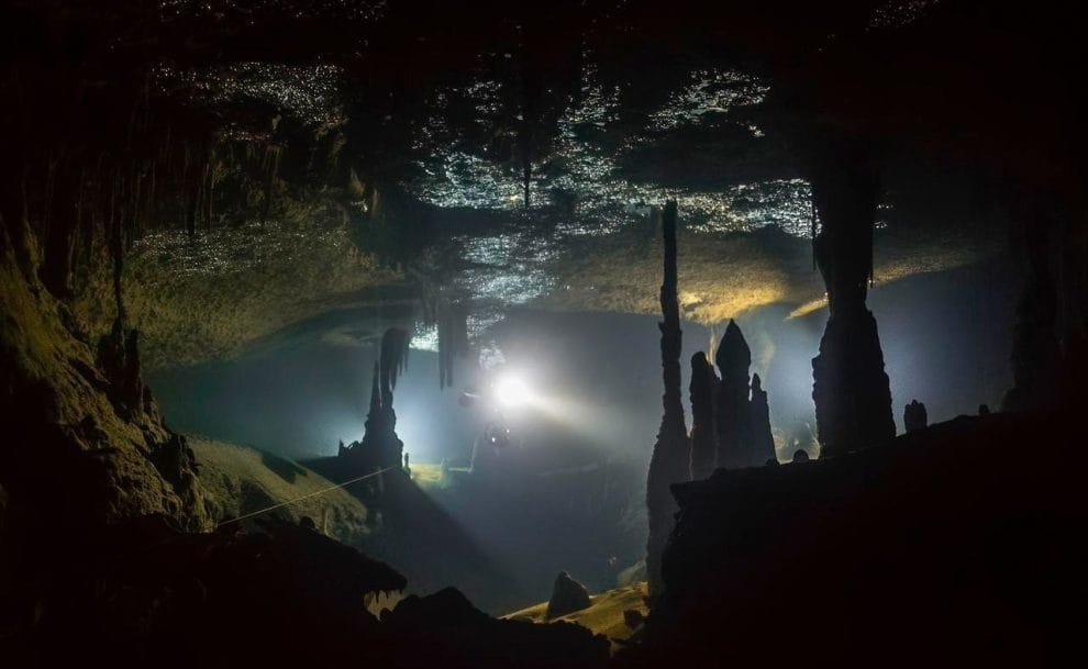 IMG 4334 e1692220561635