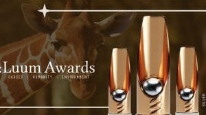 LUUM 2023