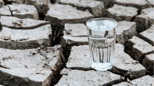 Semana Mundial del Agua 2