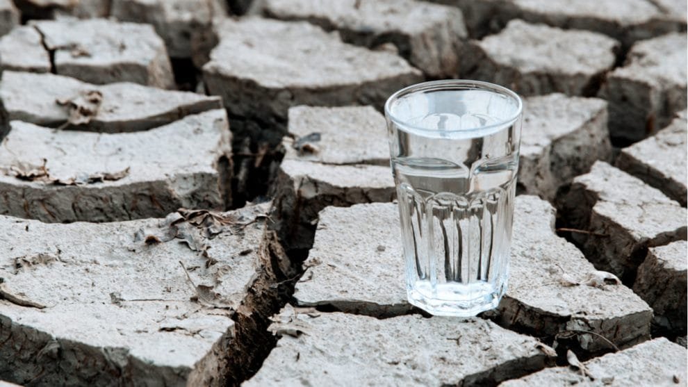 Semana Mundial del Agua 2