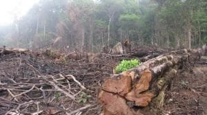 WhatsApp Image 2023 08 08 at 12.45.20