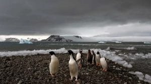 WhatsApp Image 2023 08 09 at 16.08.28