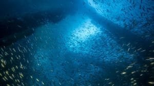 WhatsApp Image 2023 08 10 at 11.13.28