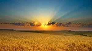 WhatsApp Image 2023 08 10 at 12.46.35