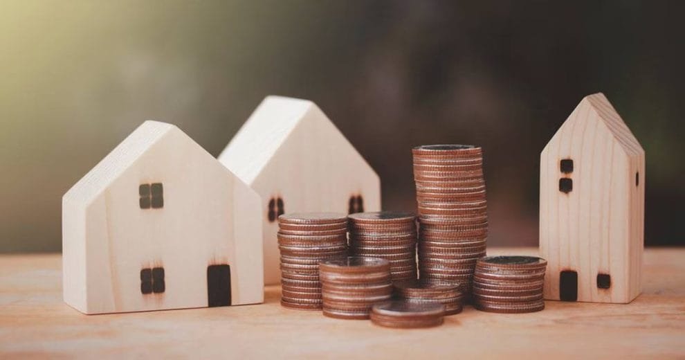 WhatsApp Image 2023 08 11 at 11.16.59