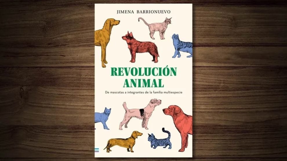 WhatsApp Image 2023 08 17 at 12.48.39