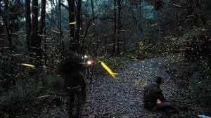 WhatsApp Image 2023 08 18 at 13.37.28