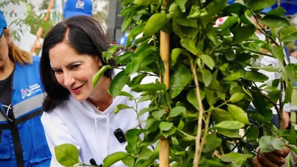 Álvaro Obregón supera su objetivo anual de reforestación: Más de 7,000 árboles plantados 10 WhatsApp Image 2023 08 28 at 16.27.22