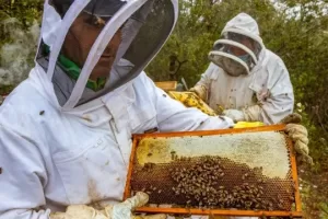 WhatsApp Image 2023 08 30 at 16.29.59