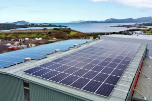 WhatsApp Image 2023 08 30 at 16.36.15