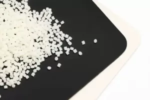 WhatsApp Image 2023 08 31 at 16.46.39