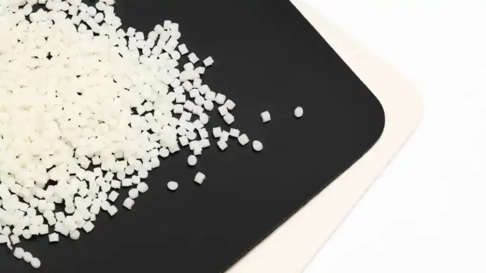 El material innovador que transforma el dióxido de carbono en alternativa al cuero y el plástico 11 WhatsApp Image 2023 08 31 at 16.46.39