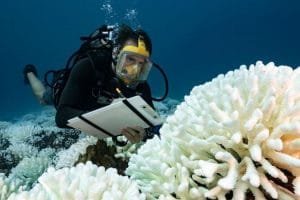 ddf10490 32ba 11ee a4cb 9d70b8eb88d6