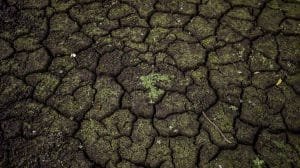 f.elconfidencial.com original f6a 682 f78 f6a682f78f19b6ab68e39f1775c71940